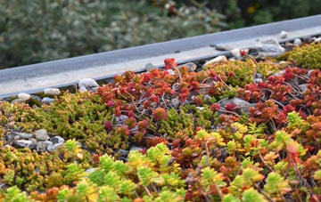 the cost of Bletsoe green roof installation