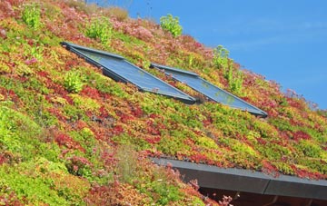 Bletsoe living roof systems