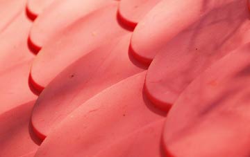 Bletsoe plastic roof costs