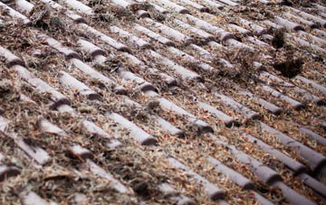 Bletsoe roof cleaning companies